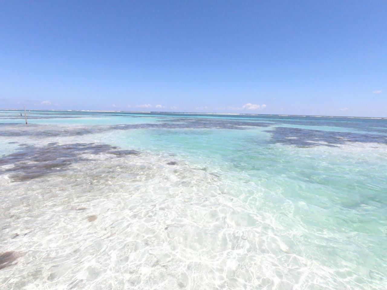 Palmeras De Mahahual Cabanas Exterior foto